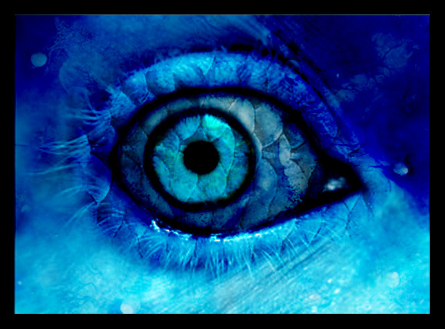 Eyes magic (34) - Eyes magic