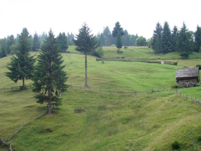 DSC02089 - Concediu 2008