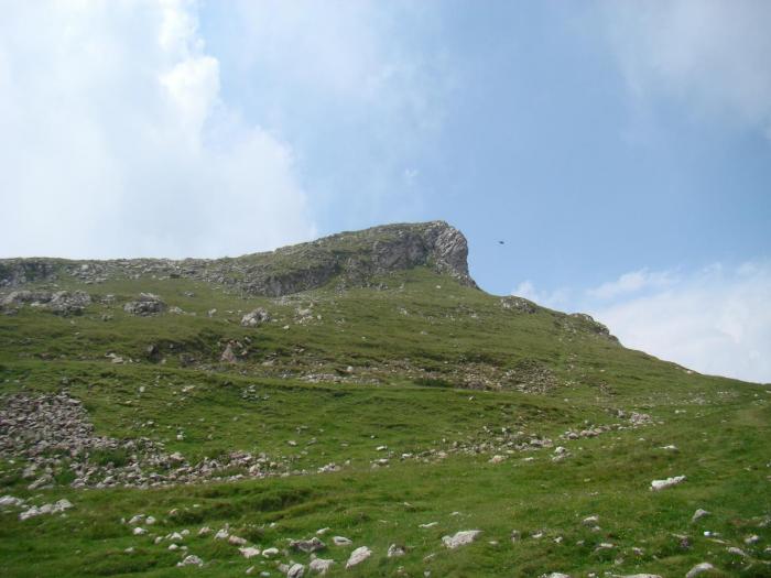 DSC01959 - Concediu 2008