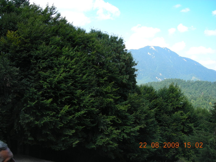 DSCN9382 - Sinaia 23 08 2009