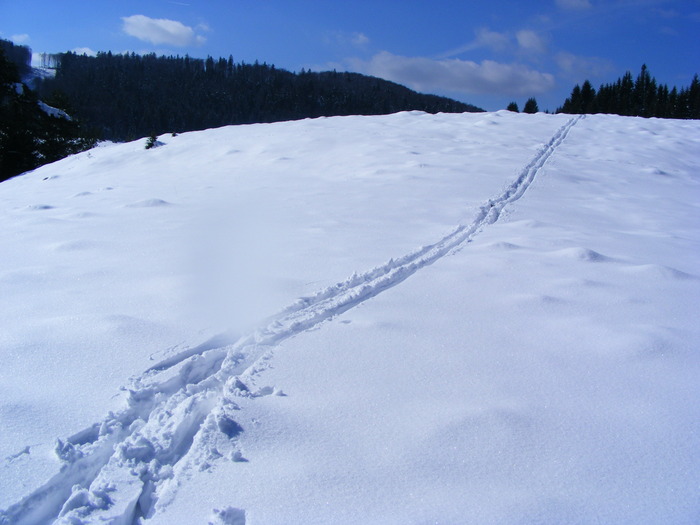 DSCF6947
