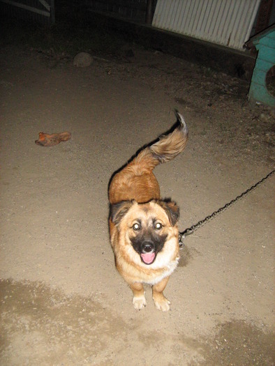 20.07.2009.03 - BOBO