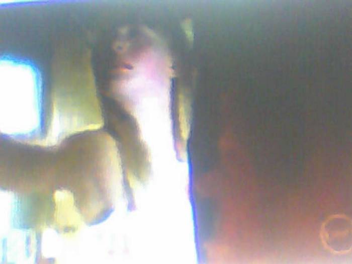 snapshot-405 - Sora lui Cleo Kim