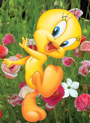 bplooney-tunes-tweety-pie-posters