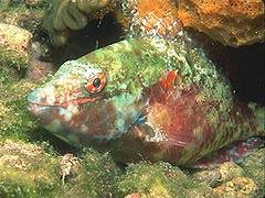 036 - poze muuuuuuuuuuuuuulte