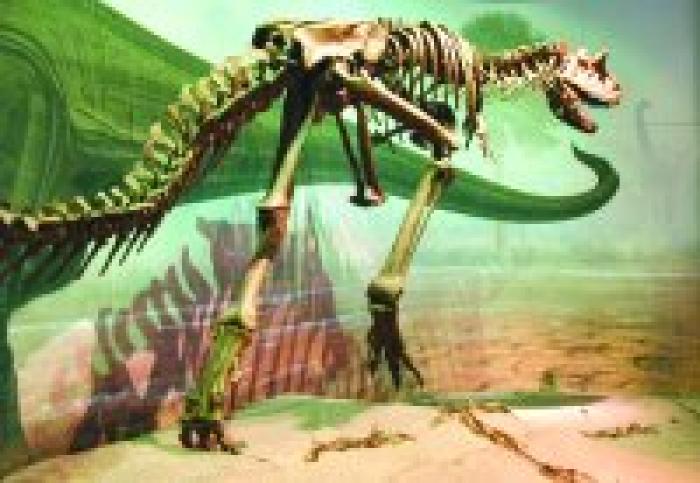 dinozaur_gigant - Fosile