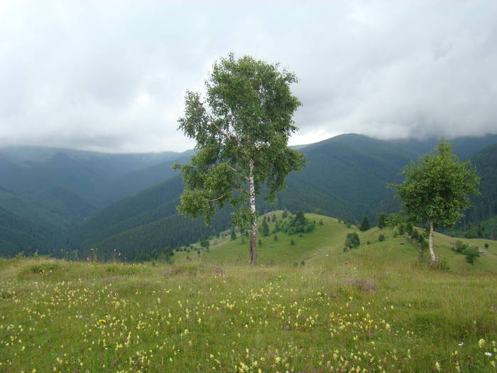 DSC03909 - Concediu 2009