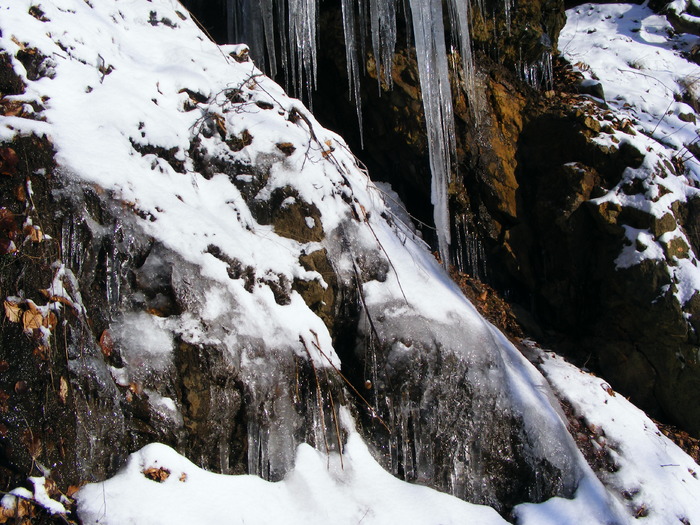 DSCF8502 - Cavnic -Budesti-Breb-Desesti -Mara