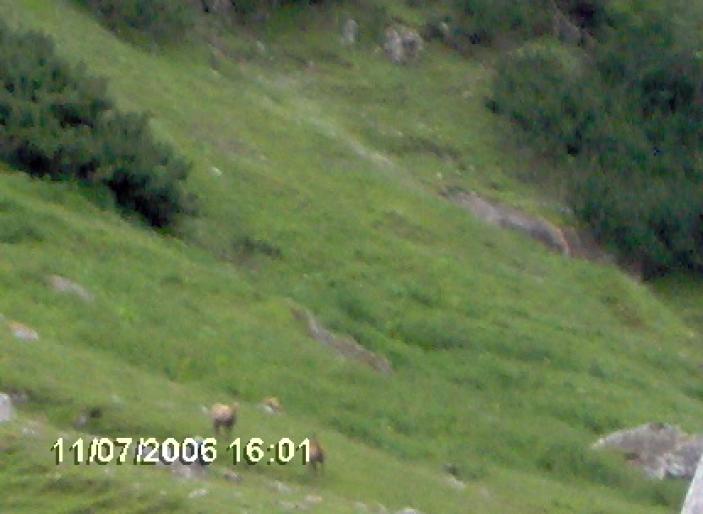 IM000296