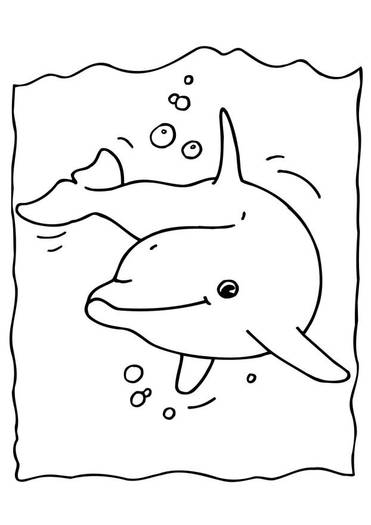 en-coloring-pictures-pages-photo-dolphin-p6491 - desene  liniare