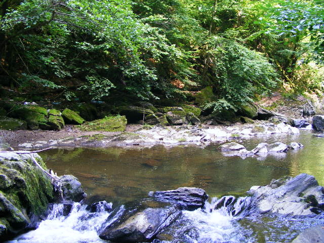 DSCF5107
