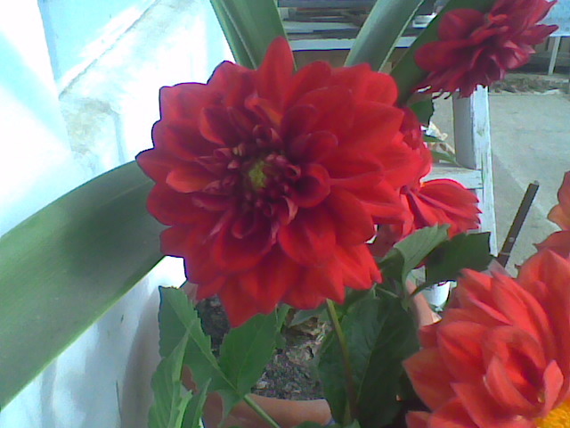 Imag078