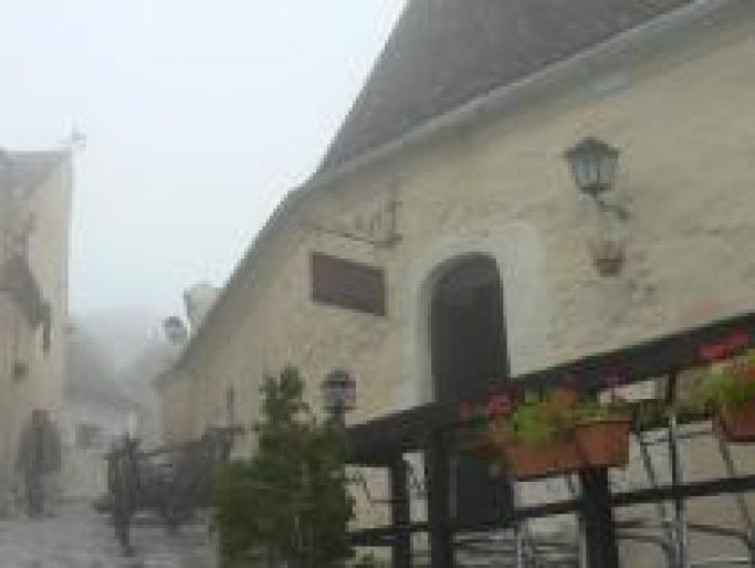 Copy of GUYISIOTRAEEGLNJPFR