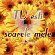 Dragoste14Cele mai tarii Avatare.VoxlinK.By.Jeny