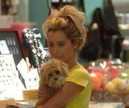 dog - AshleyTisdale