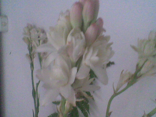 Imag052