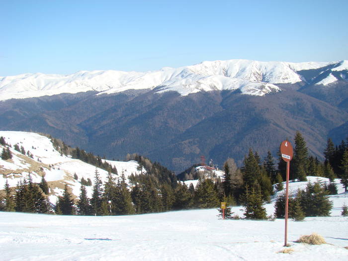 DSC01119 - Bucegi - Valea Izvorul Dorului-Padina