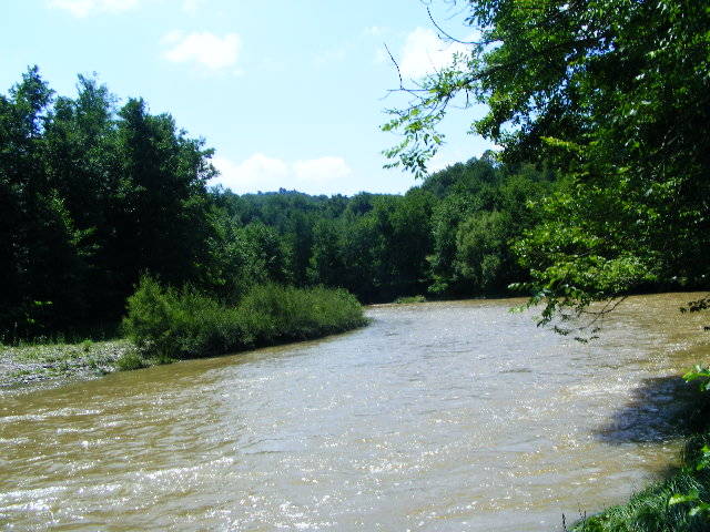 DSCF2458