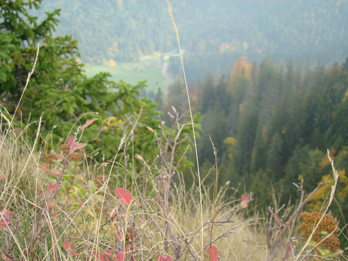 DSC00365