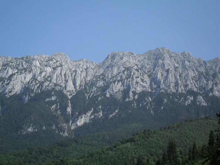 SDC10067 - piatra craiului