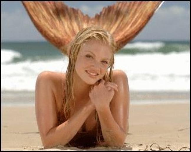 4522378591a5386685697l