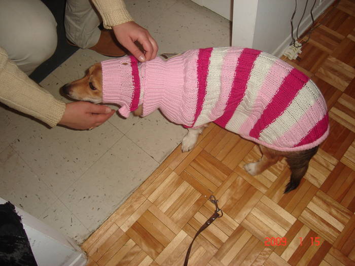 Picture 090 - Montreal