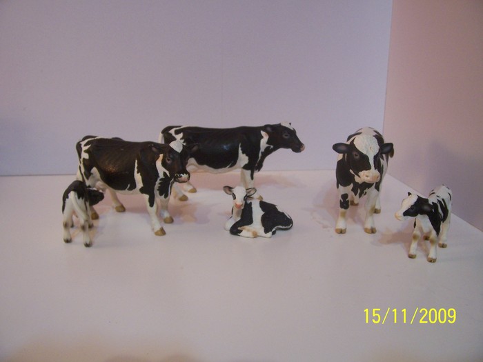 Vaci Holstein - Ferma