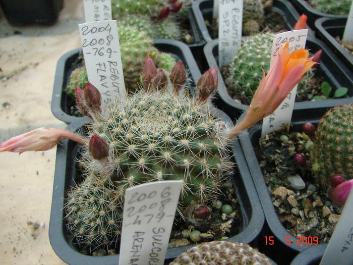 DSC05736