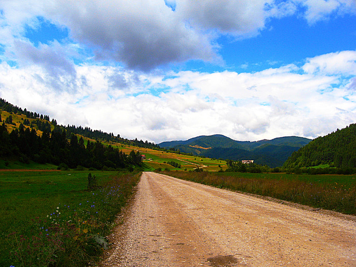  - COLTUL CHILIILOR - MUNTII PIATRA CRAIULUI