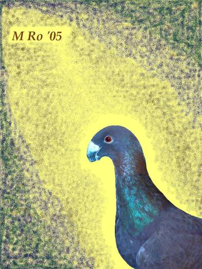 rosu - 2PORUMBEII MEI