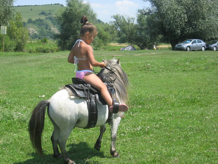 IMG_3631 - ECHITATIE 2008-2009