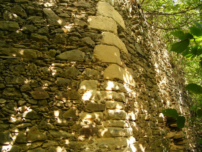 DSCF0421 - Cheile Lapusului- Biserica V- Cetatea Chioar