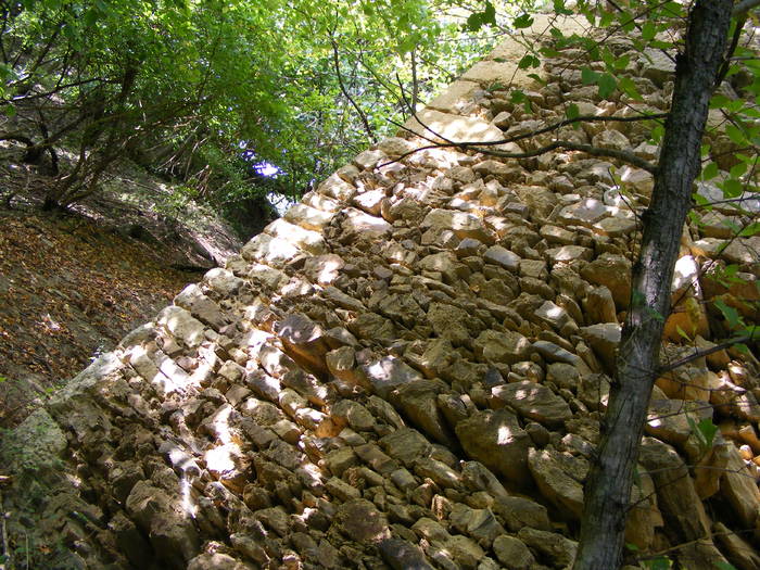 DSCF0422 - Cheile Lapusului- Biserica V- Cetatea Chioar