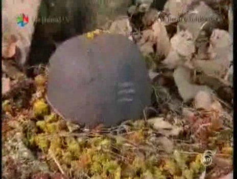 195_1_A_TA_PENTRU_TOTDEAUNA_SAGAR_SI_VIDYA_SUNT_UCISI.flv_000085566 195_1_A_TA_PENTRU_TOTDEAUNA_SAGAR_SI_VIDYA_SUNT_UCISI.flv_000085566