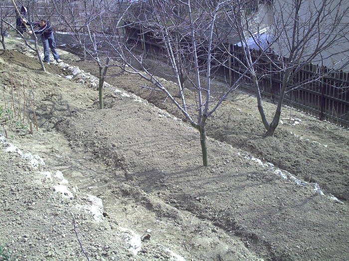 PICT0014 - GRADINA-2009