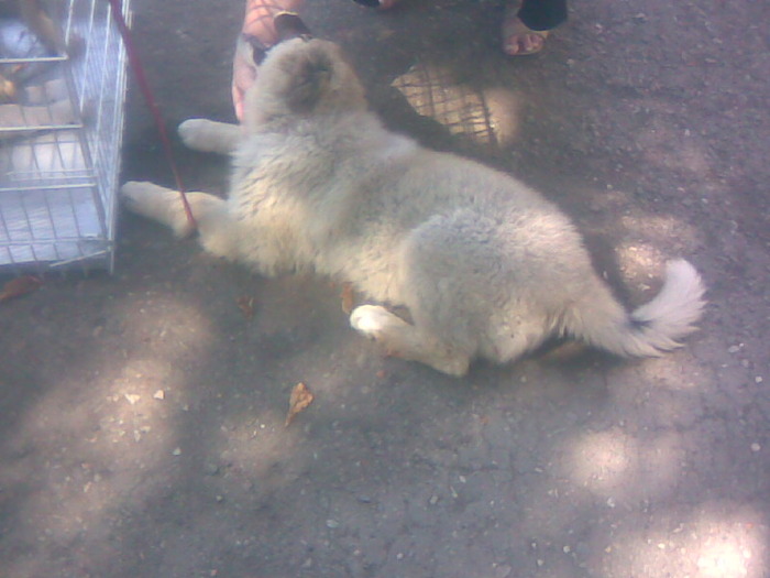 Imag050