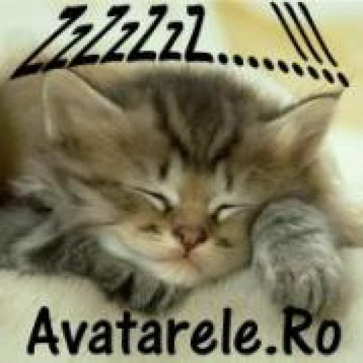 PVUXQNTNHXZKKPZTNLN - poze animale