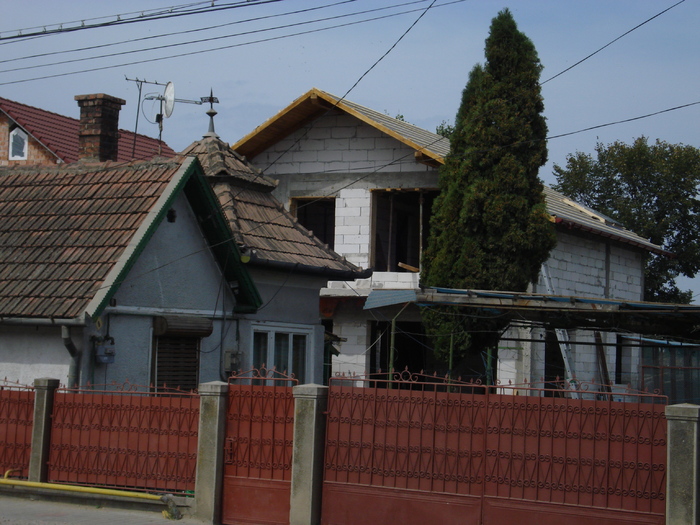 DSC02334