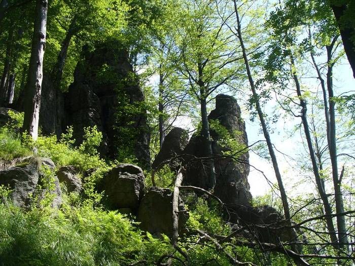 P1000427 - varful Ignis Maramures