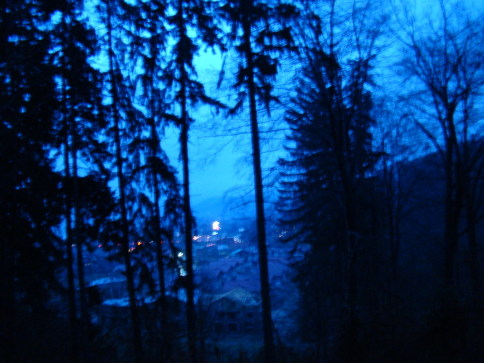 DSC00948