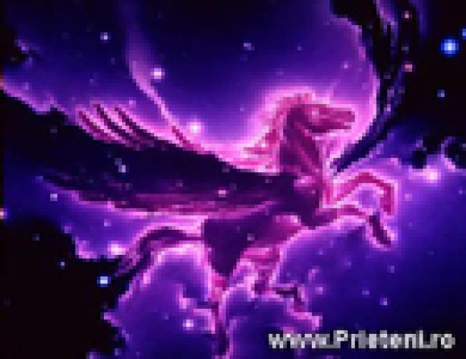 felicitare125s - animale si flori