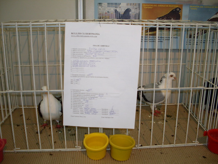 SDC10571 - S -Expo Cluj 24-25 Octombrie