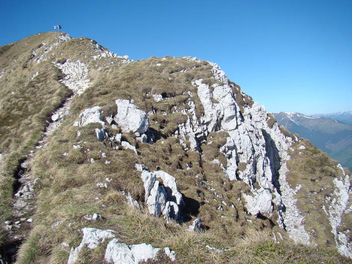 DSC03216 - Piatra Craiului MAI