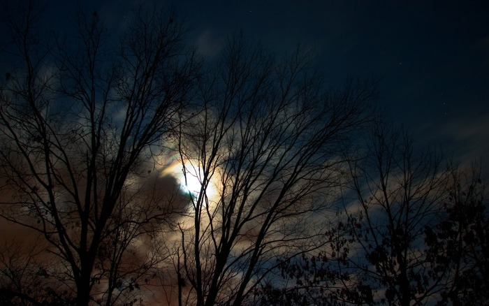 1082_januarynightsky_1440x900