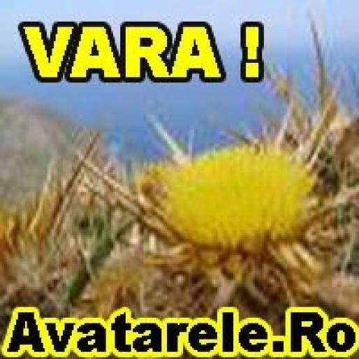 2 - avatare