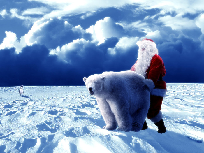 Christmas Wallpapers (566)