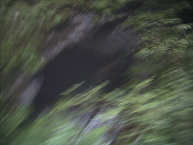 AAAA0516