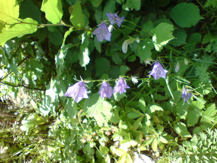 DSC01751
