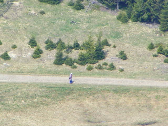 DSCF0294