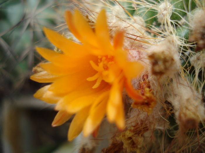 DSC01906